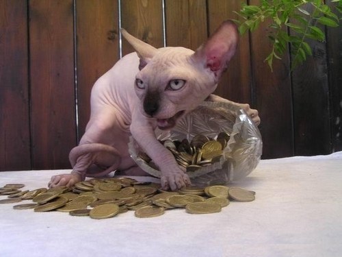 Plan de financement